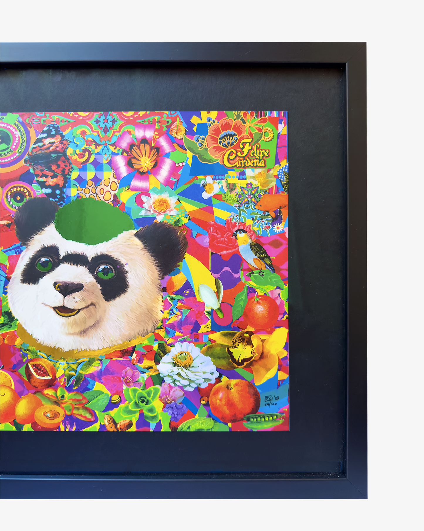 FELIPE CARDEÑA - FELIPANDA